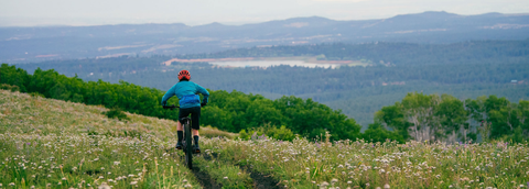Electric Hardtail Mountain Bikes