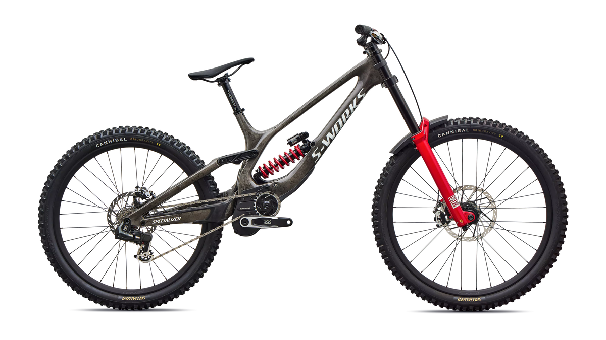Specialized S-Works Demo 11