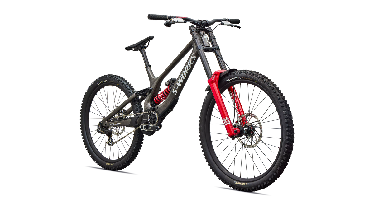 Specialized S-Works Demo 11
