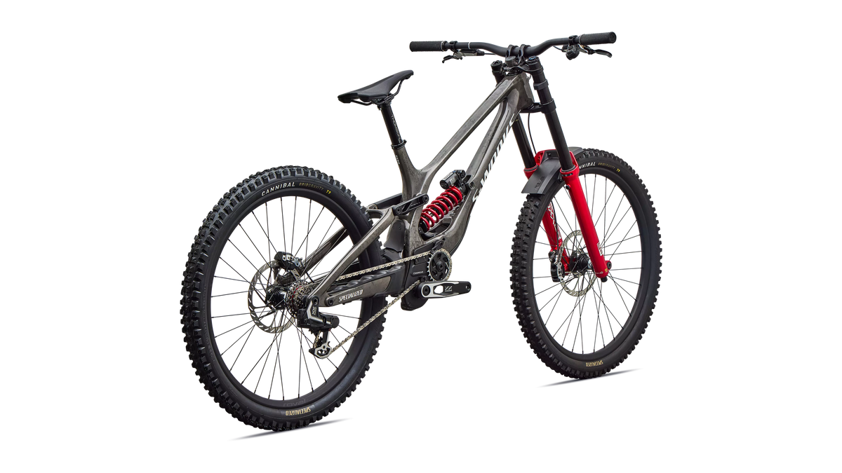Specialized S-Works Demo 11