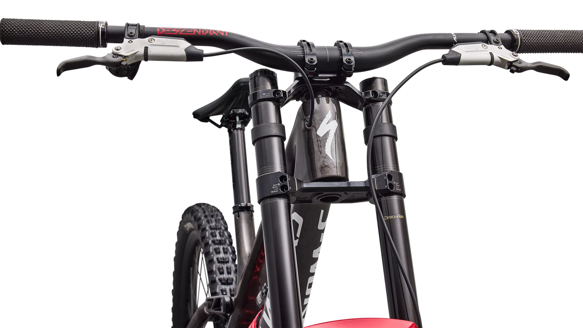 Specialized S-Works Demo 11