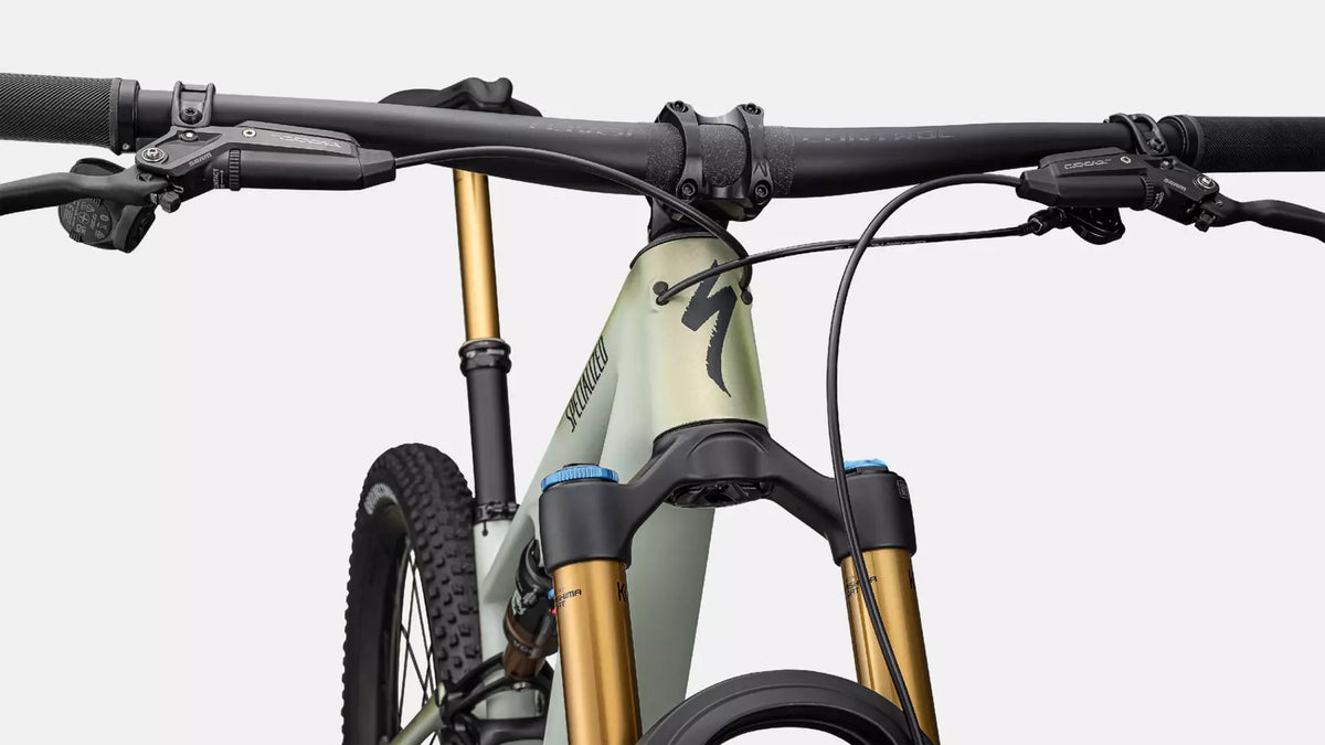 Specialized Epic 8 Pro EVO - Satin Forest Green / Spruce - MY25