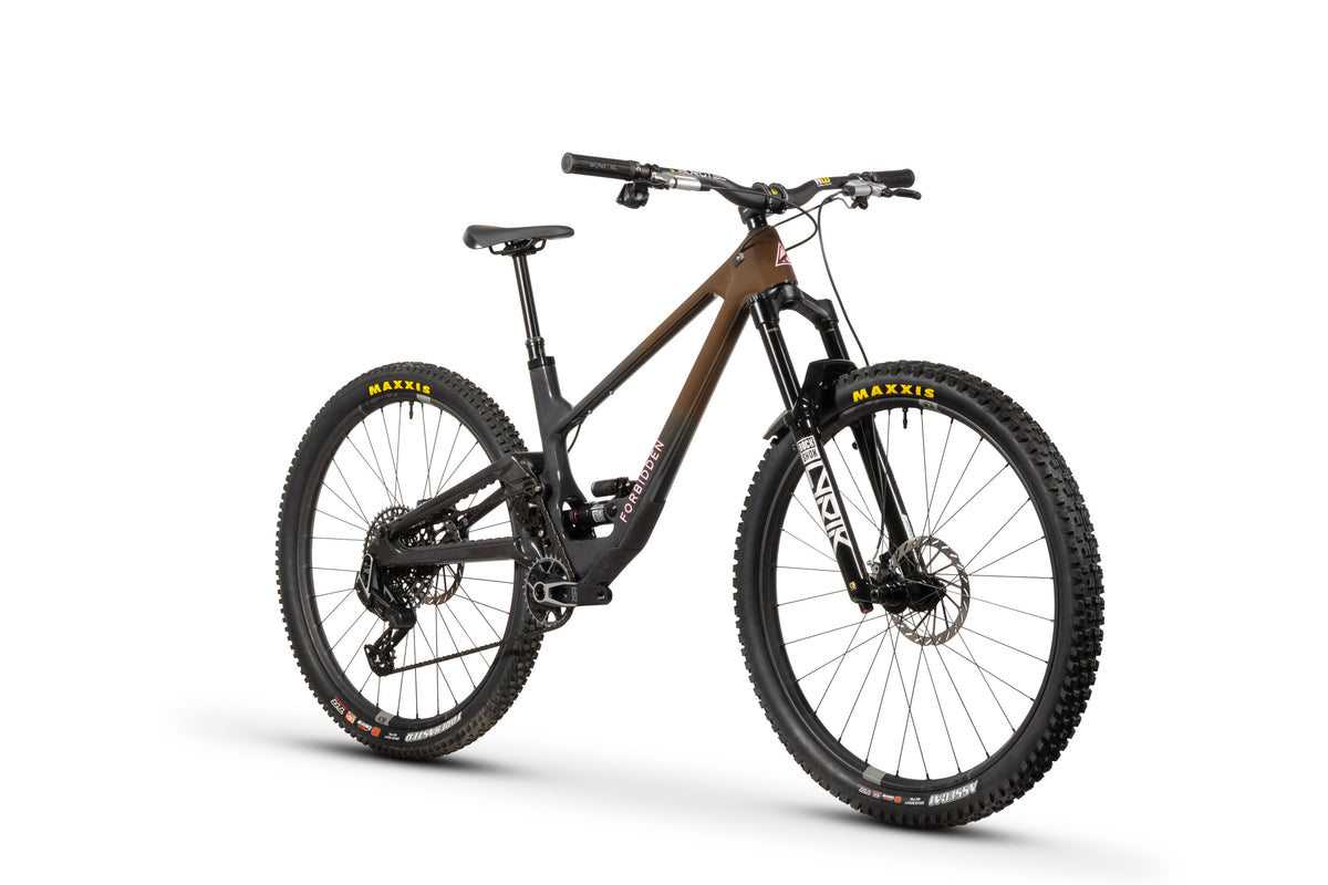 Forbidden Druid Build 1 - X0 AXS T-Type - Chocolate Starfish - 29er Rear
