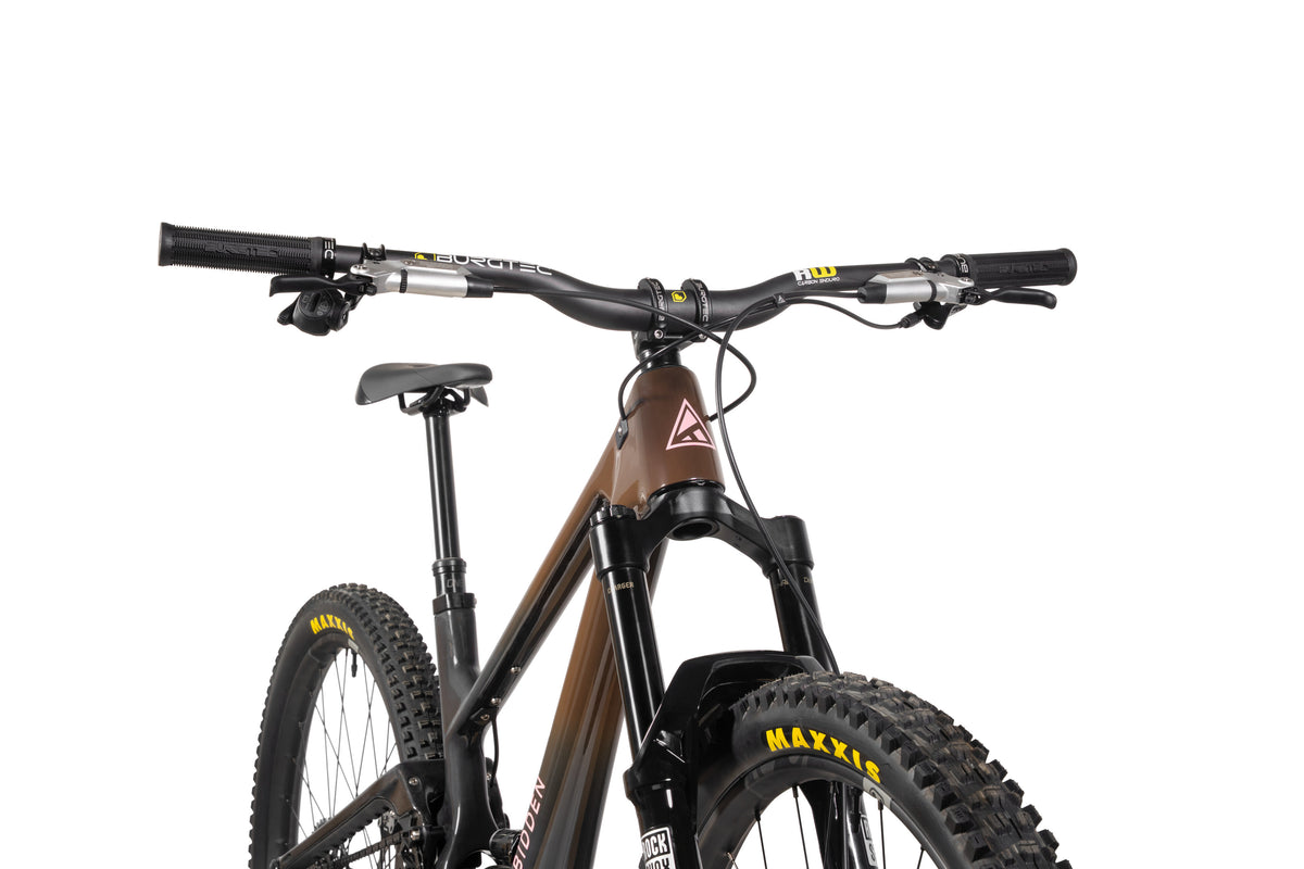 Forbidden Druid Build 1 - X0 AXS T-Type - Chocolate Starfish - 29er Rear