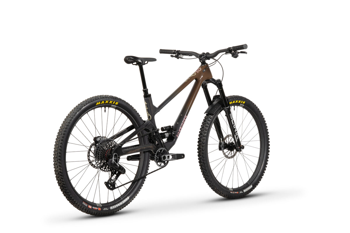 Forbidden Druid Build 1 - X0 AXS T-Type - Chocolate Starfish - 29er Rear