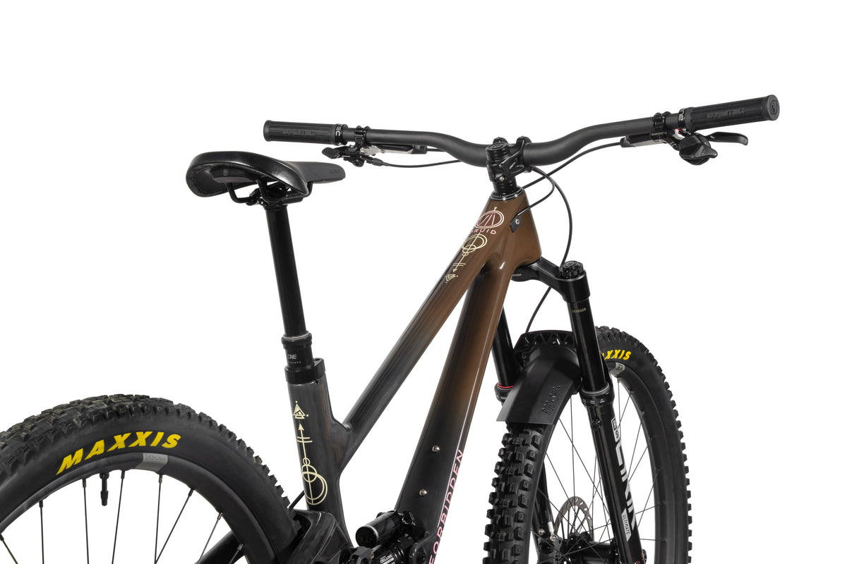 Forbidden Druid Build 1 - X0 AXS T-Type - Chocolate Starfish - 29er Rear