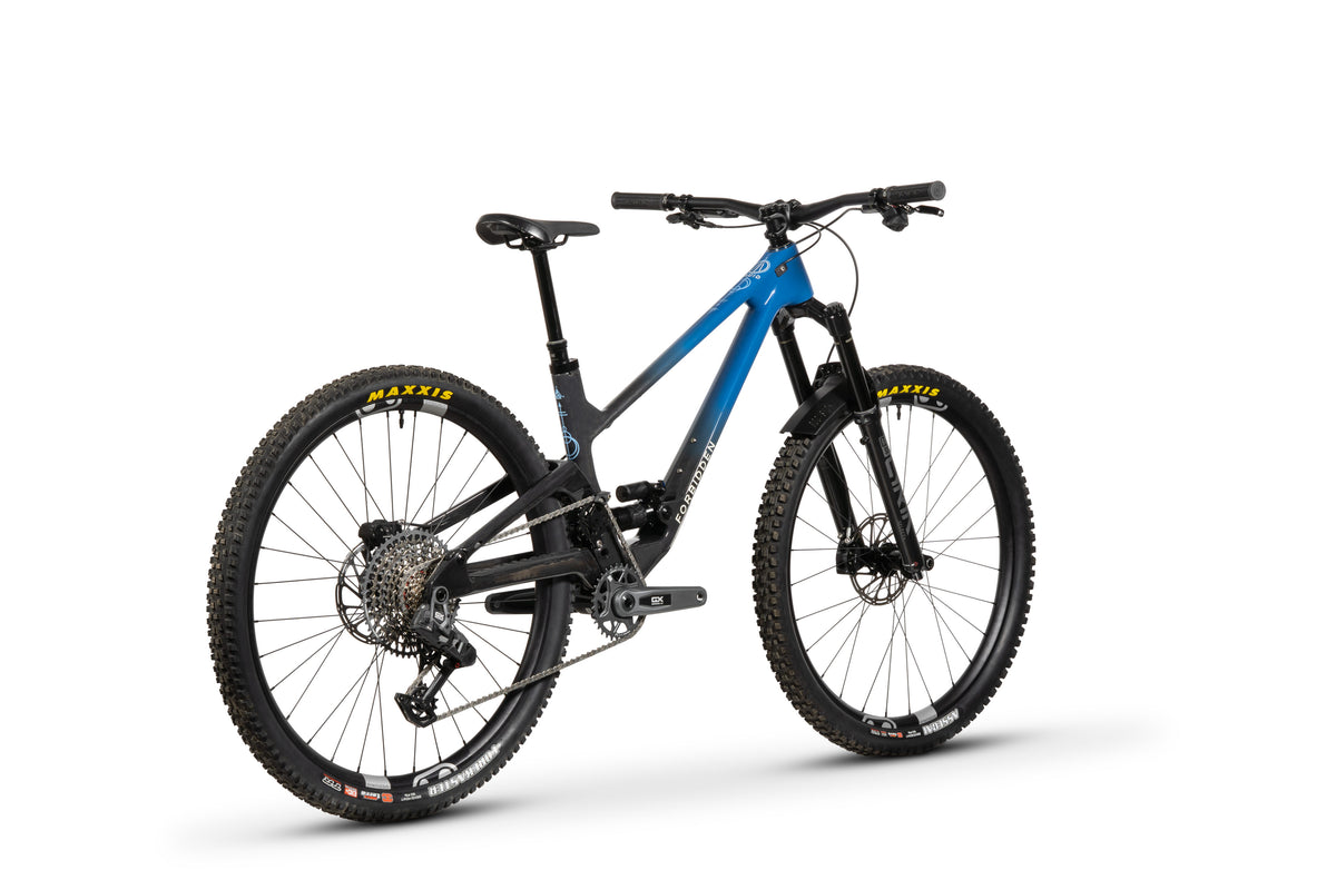 Forbidden Druid Build 2 - GX AXS T-Type - Blue Monday - 29er Rear