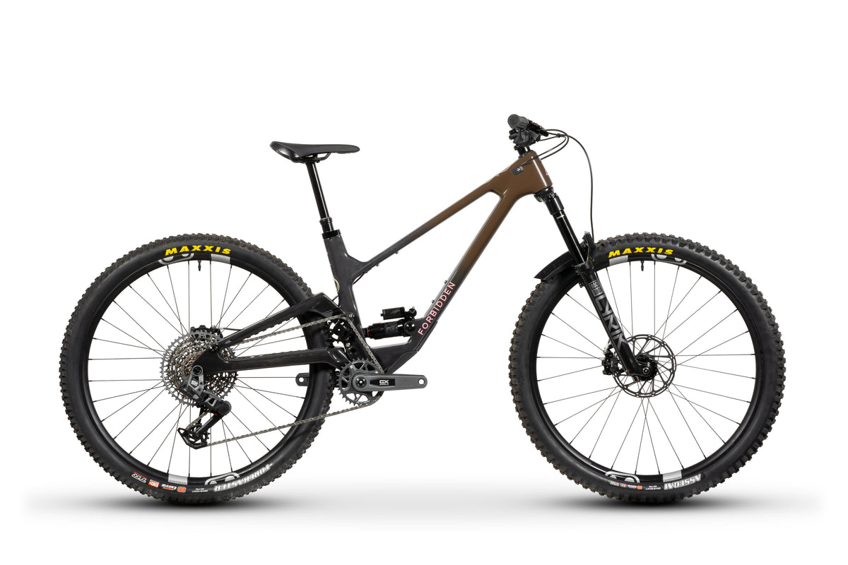 Forbidden Druid Build 1 - X0 AXS T-Type - Chocolate Starfish - 29er Rear