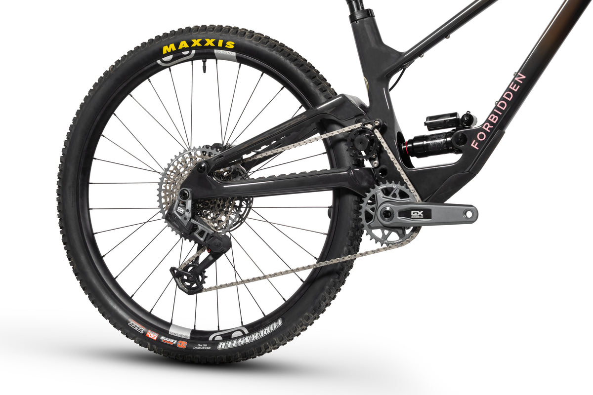 Forbidden Druid Build 2 - GX AXS T-Type - Chocolate Starfish - 29er Rear