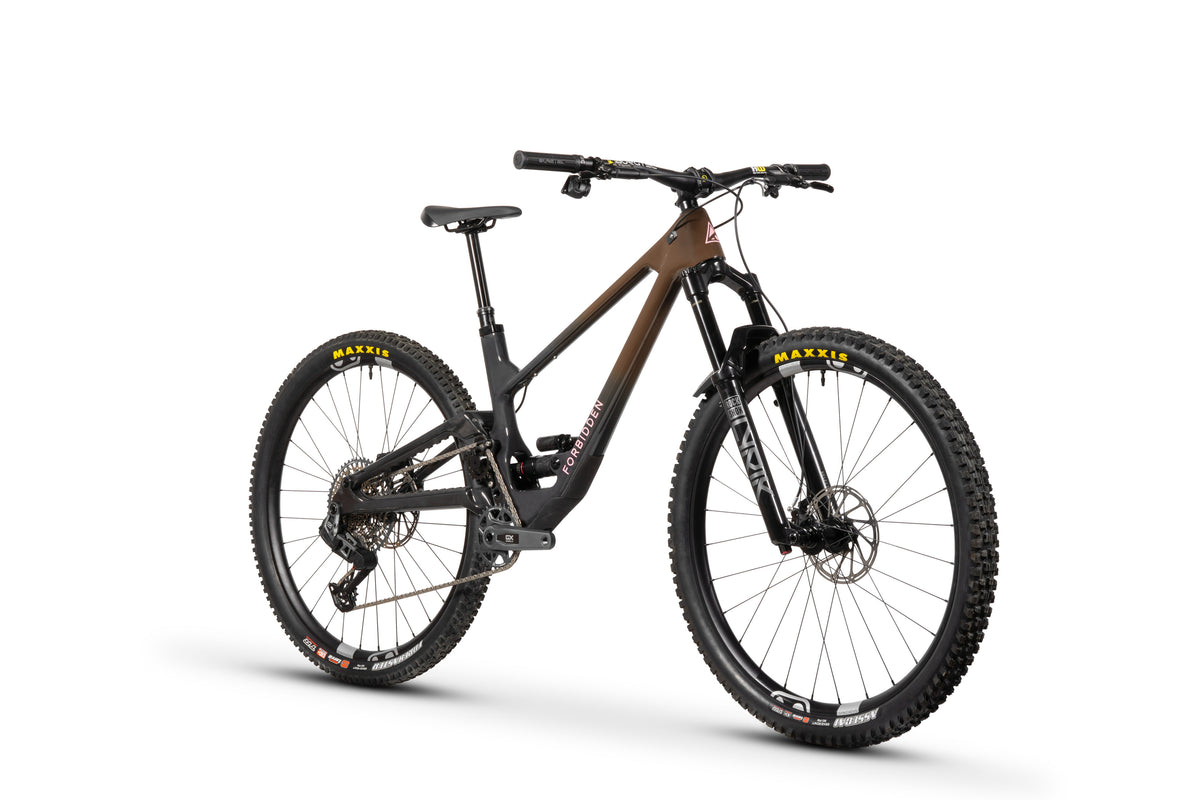 Forbidden Druid Build 1 - X0 AXS T-Type - Chocolate Starfish - 29er Rear
