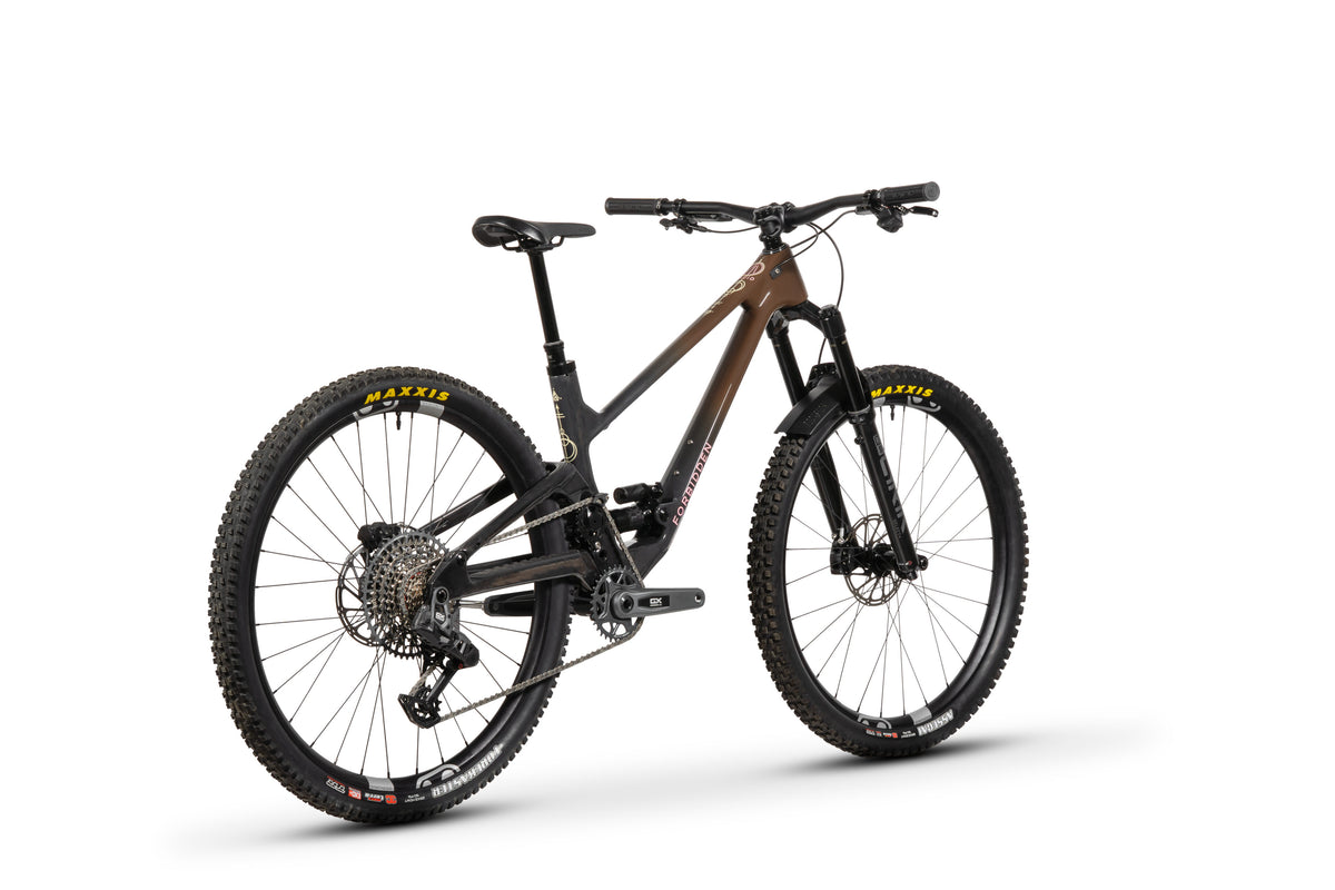 Forbidden Druid Build 1 - X0 AXS T-Type - Chocolate Starfish - 29er Rear