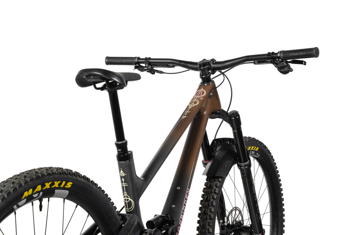 Forbidden Druid Build 1 - X0 AXS T-Type - Chocolate Starfish - 29er Rear