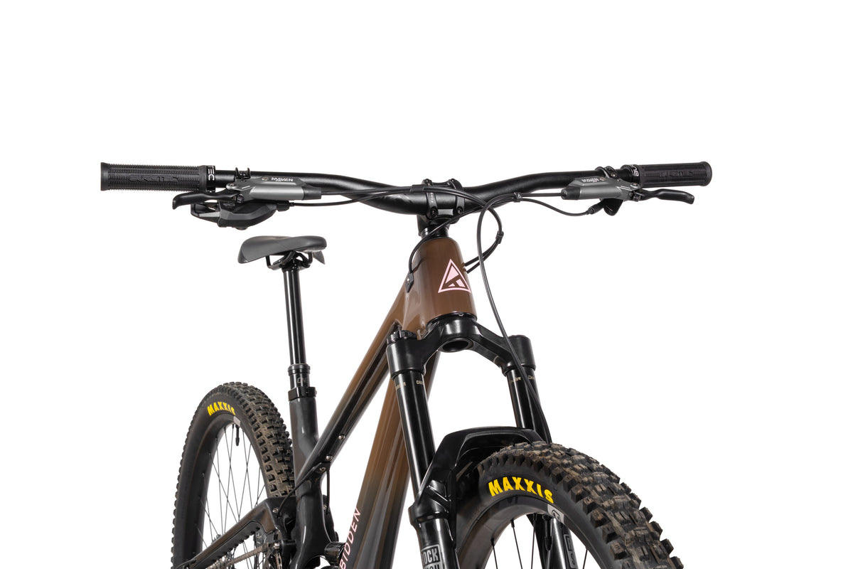 Forbidden Druid Build 3 - Eagle 70/90 T-Type - Chocolate Starfish - MX Rear