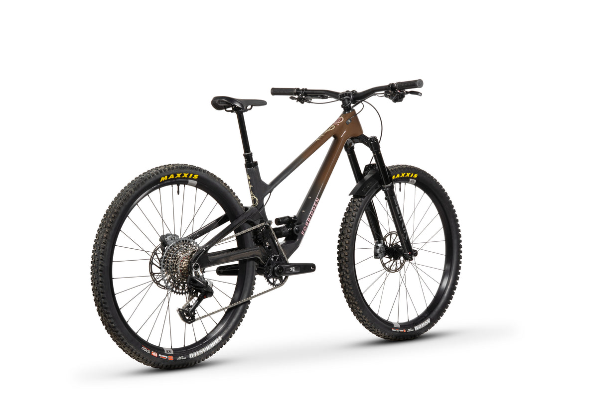 Forbidden Druid Build 3 - Eagle 70/90 T-Type - Chocolate Starfish - 29er Rear