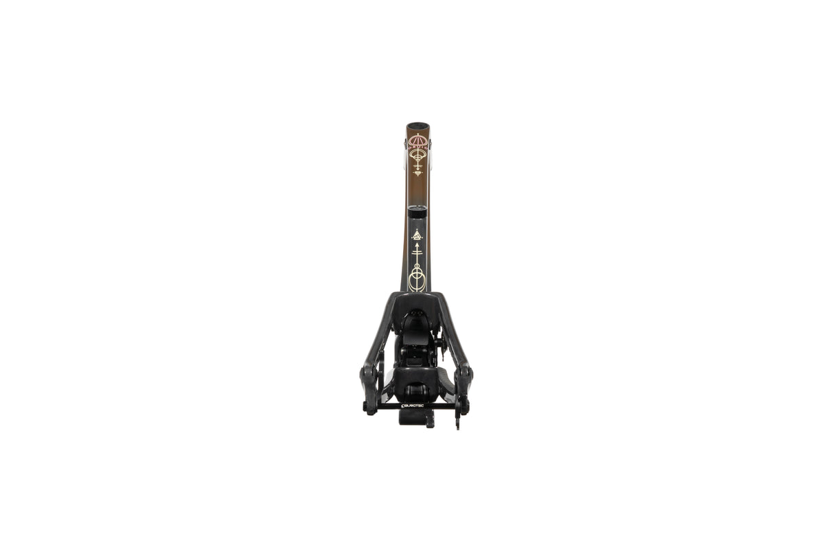 Forbidden Druid Frame - Chocolate Starfish - 29er Rear