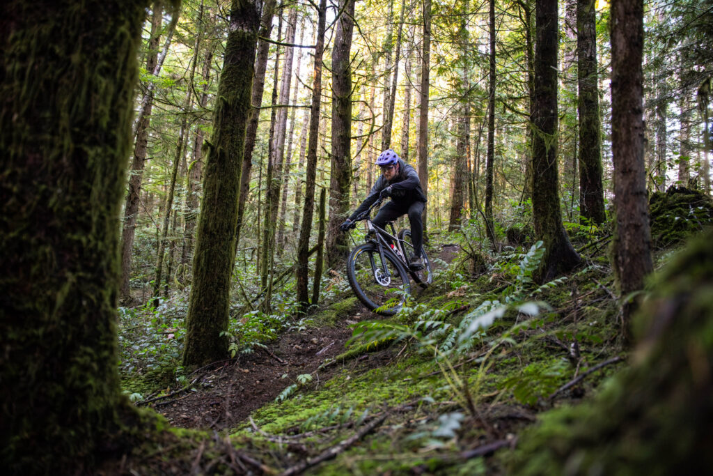 Forbidden Heathen Titanium Hardtail Frame