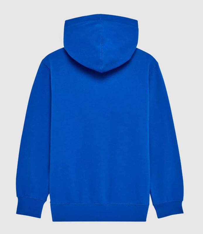 Fox Youth Absolute Pullover Hoodie - Blue