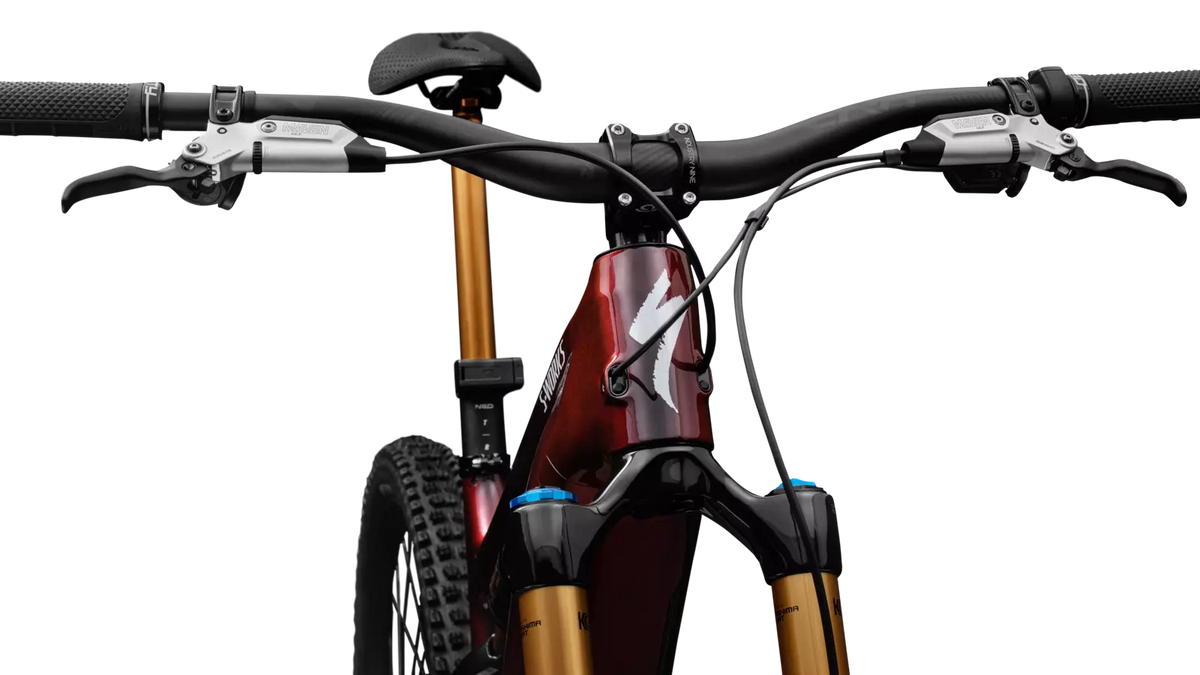Specialized S-Works Turbo Levo 4 - Red Pearl