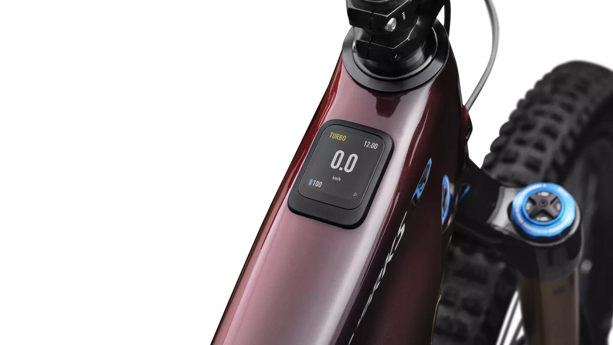 Specialized S-Works Turbo Levo 4 - Red Pearl