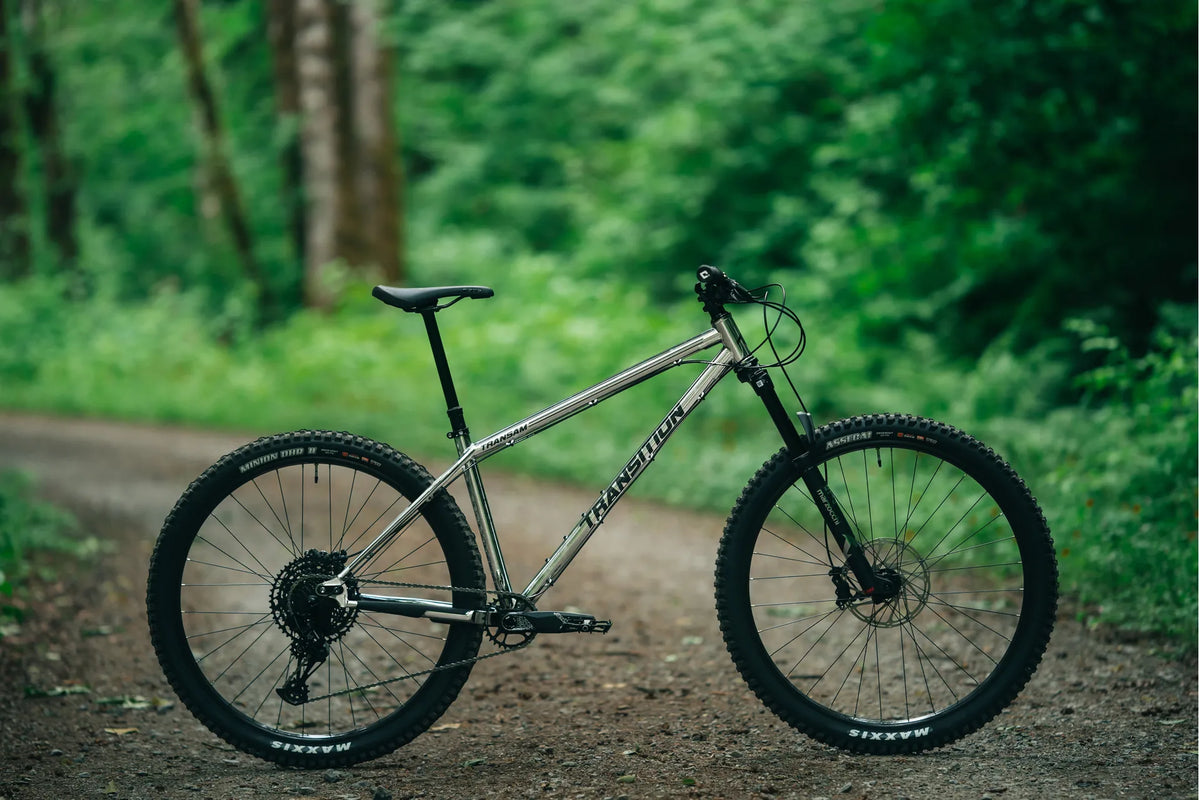 Transition TransAM Steel Hardtail - NX Build - Large